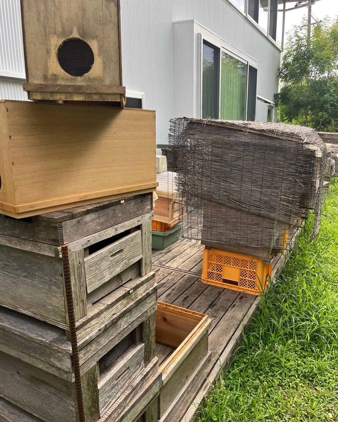 養蜂体験〜！　大変勉強になりました