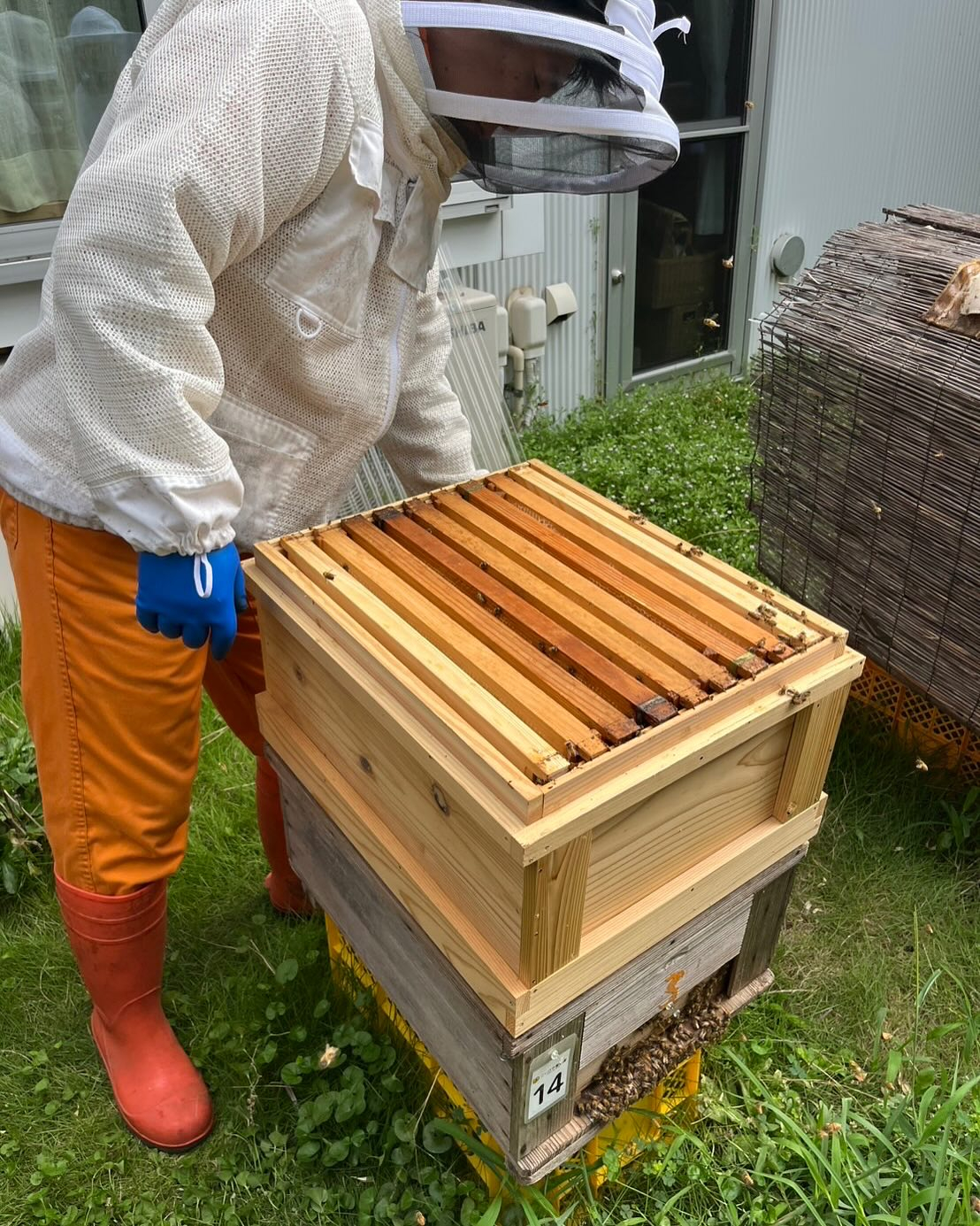 養蜂体験〜！　大変勉強になりました